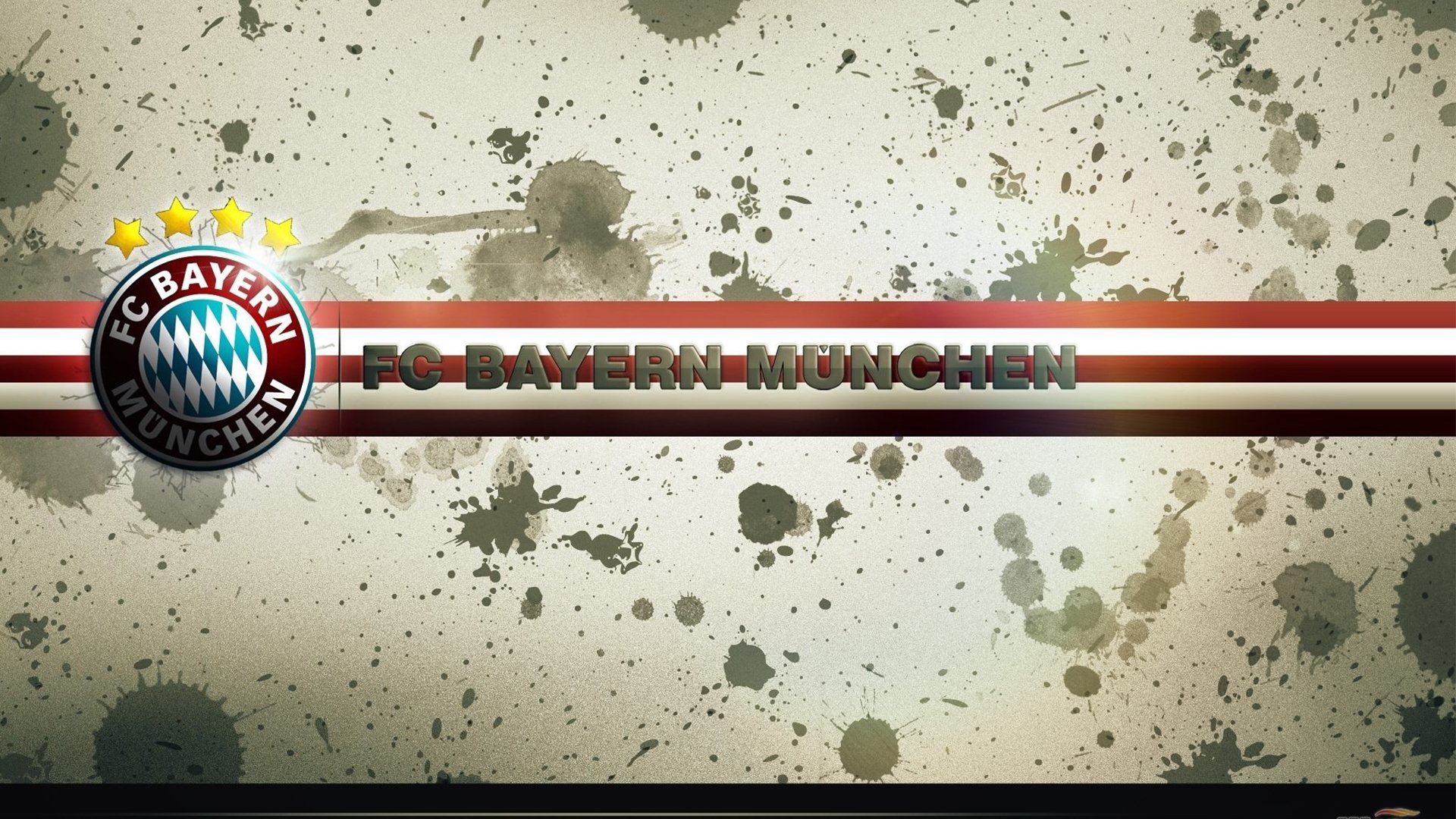 体育项目职业化路径与行业壁垒分析，体育产业化项目选择应遵循什么样的原则